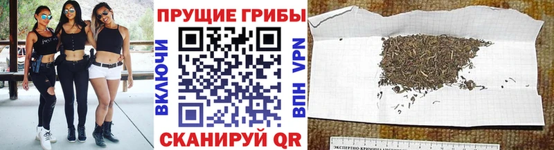 Галлюциногенные грибы мухоморы  Бежецк 